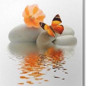 Meet your Posher, Jody